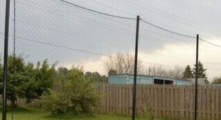 Fence- Netting