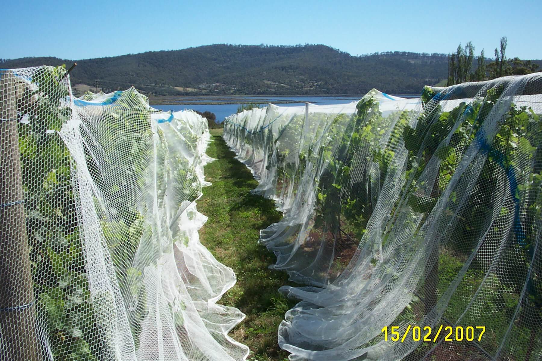 HDPE-Plastic-Netting