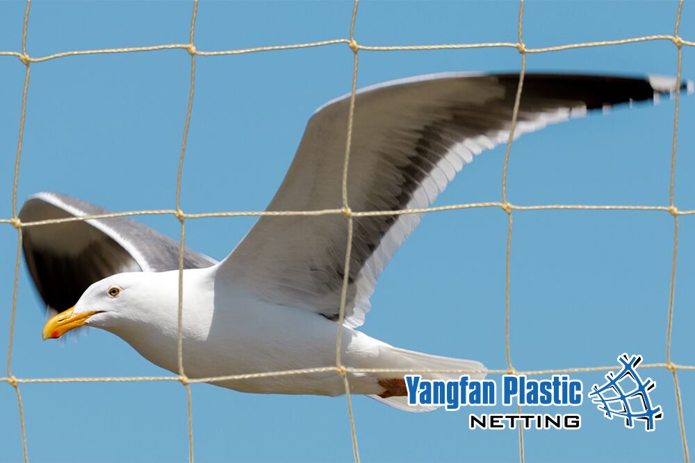 Seagull Netting _Knotted 75mm_Stone