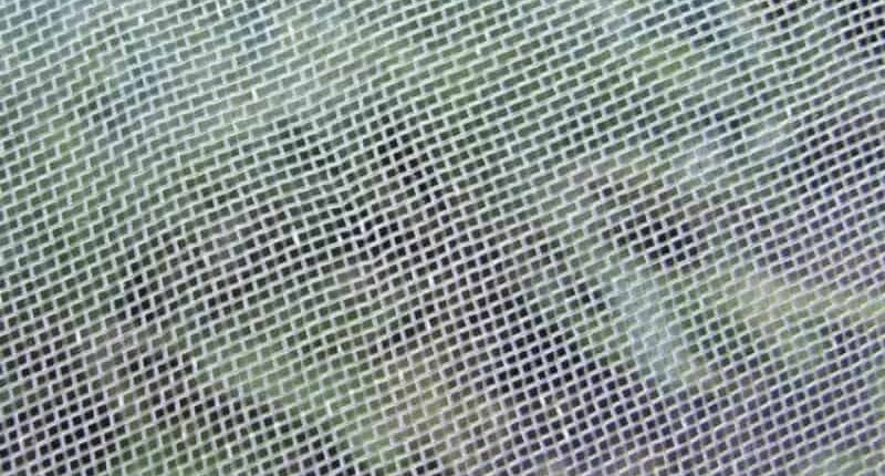 25-Mesh-Insect-Net