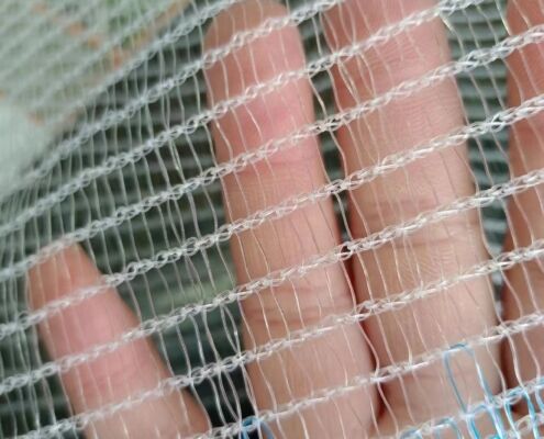 Insect Netting-1
