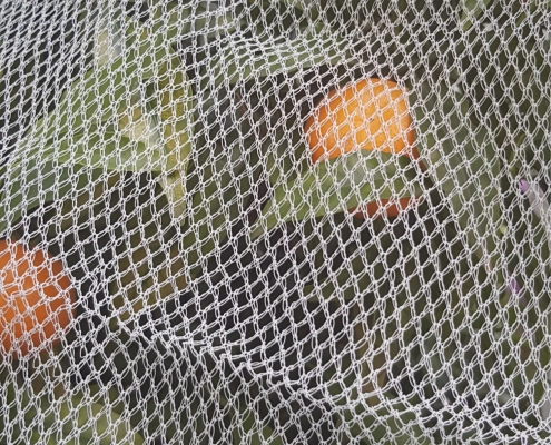 Insect-Netting