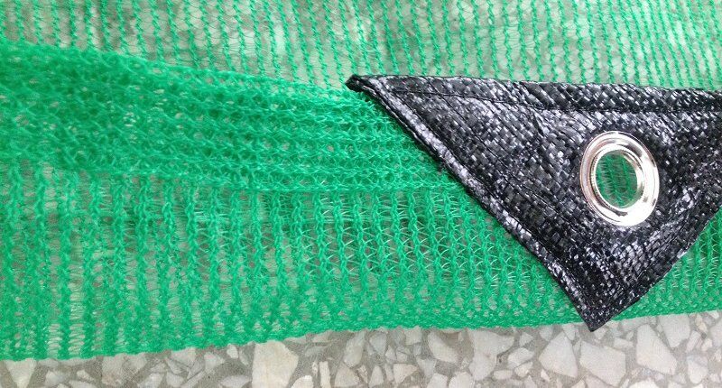 Olive- Netting